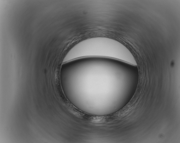 X0000095960088200801110956