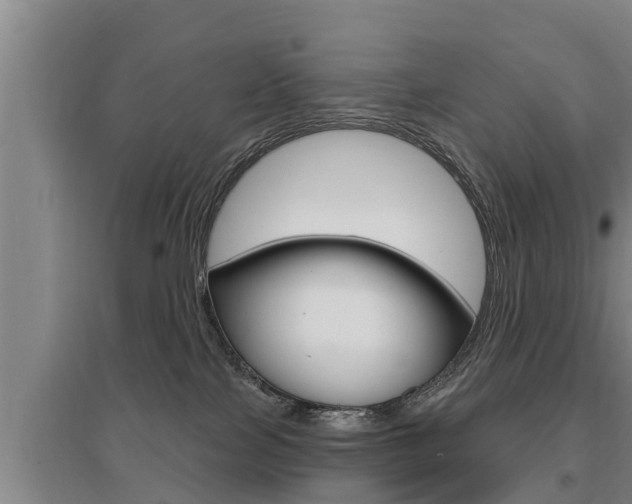 X0000095960089200801110956
