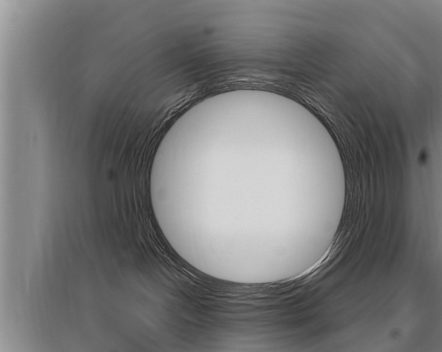 X0000095960094200801110956