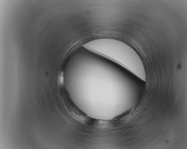 X0000095960095200801110956