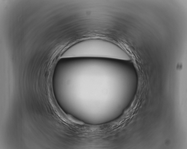 X0000095960097200801110955
