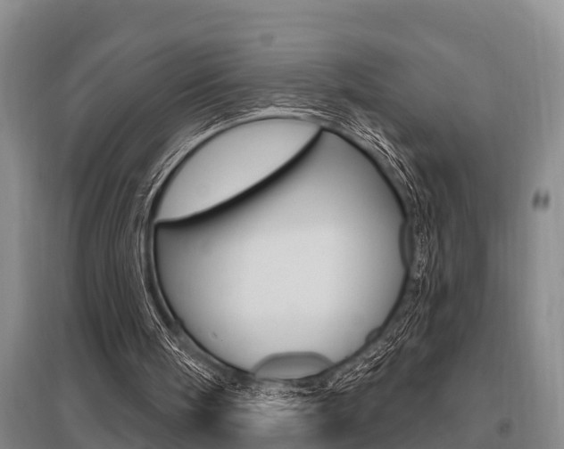 X0000095960098200801110955