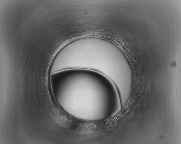 X0000095960100200801110955
