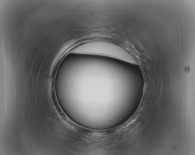 X0000095960101200801110955