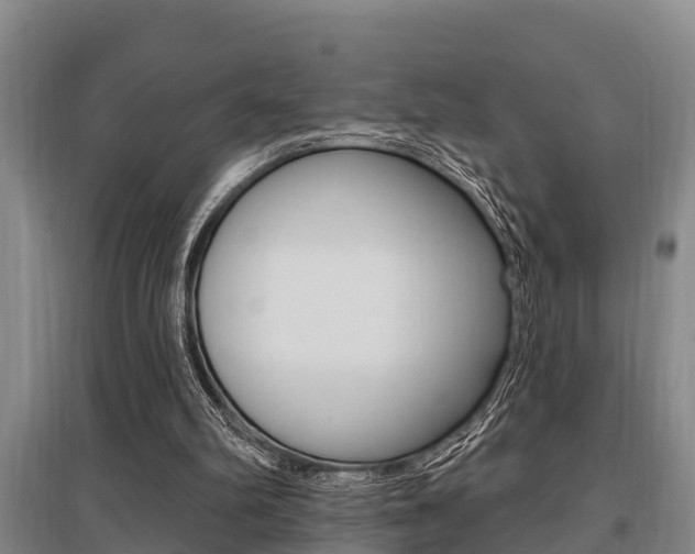 X0000095960102200801110955