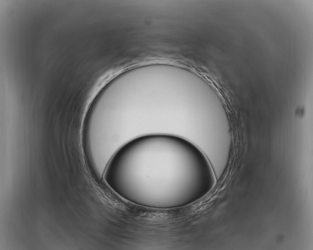 X0000095960104200801110955