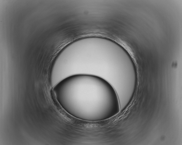 X0000095960105200801110955