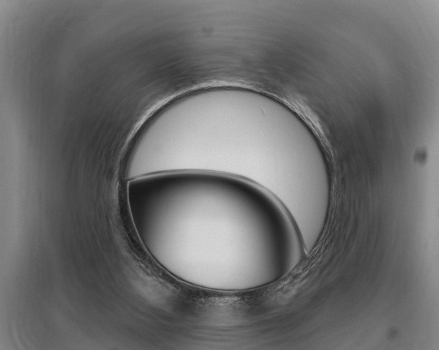 X0000095960108200801110955