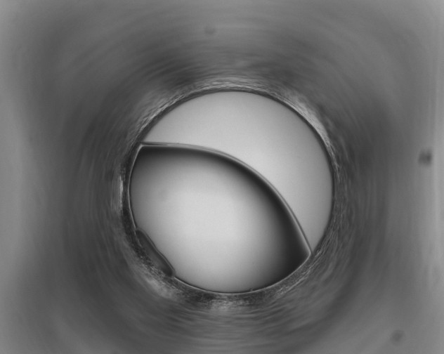 X0000095960109200801110955