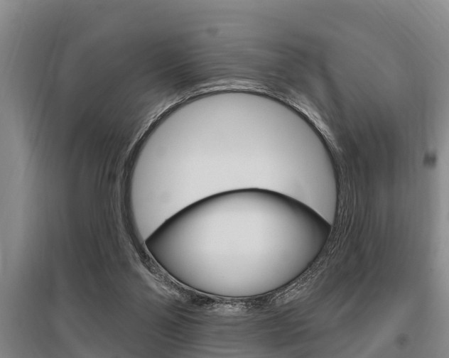 X0000095960110200801110955
