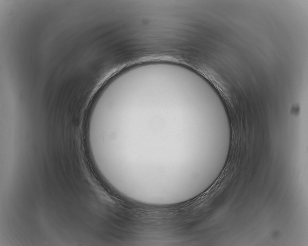 X0000095960112200801110955