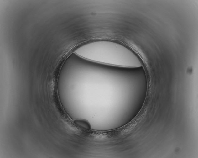 X0000095960113200801110955