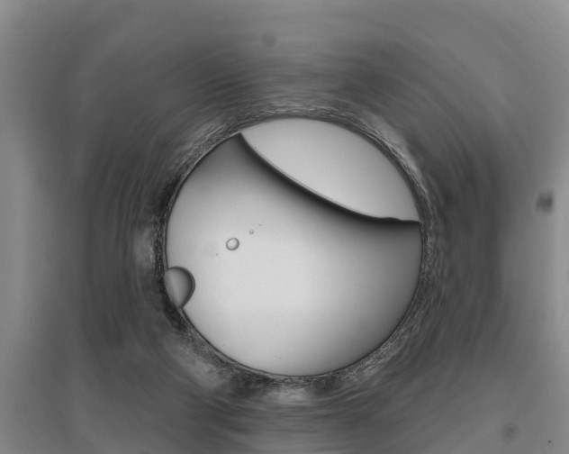 X0000095960114200801110955