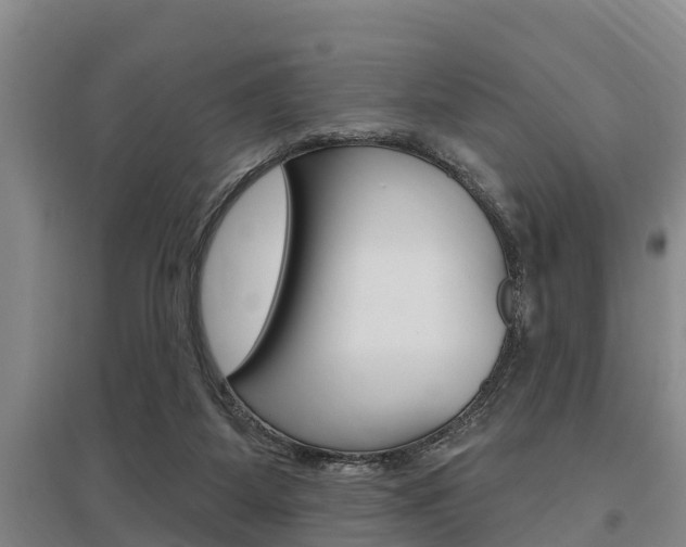 X0000095960115200801110955