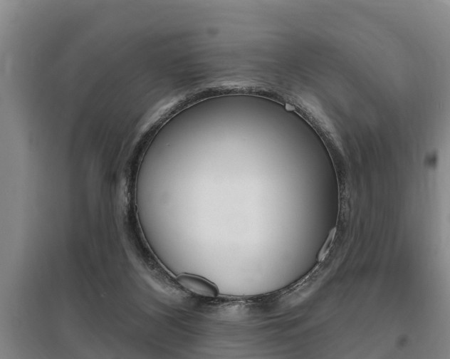 X0000095960116200801110955