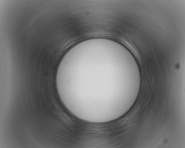 X0000095960117200801110955
