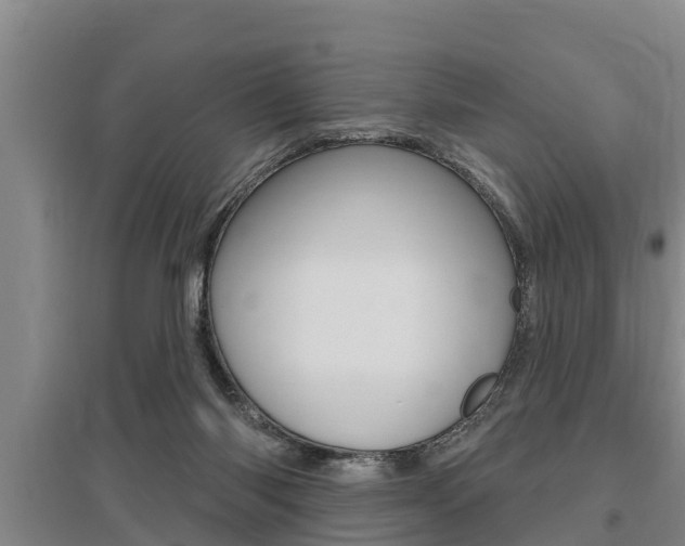 X0000095960118200801110955
