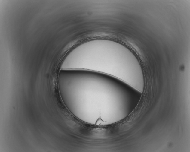 X0000095960119200801110955