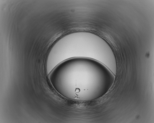 X0000095960120200801110955