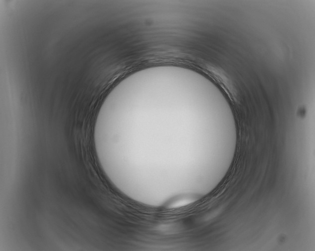 X0000095960121200801110955