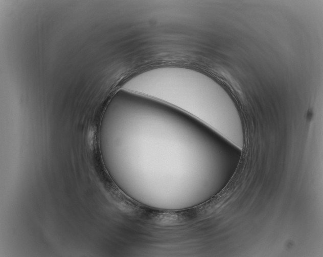 X0000095960123200801110955