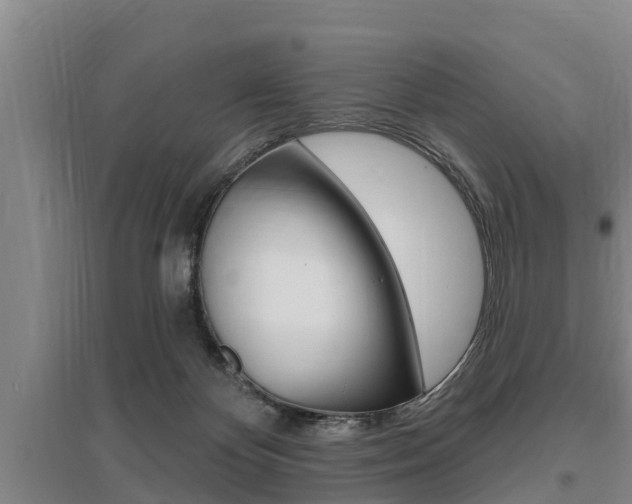 X0000095960124200801110955