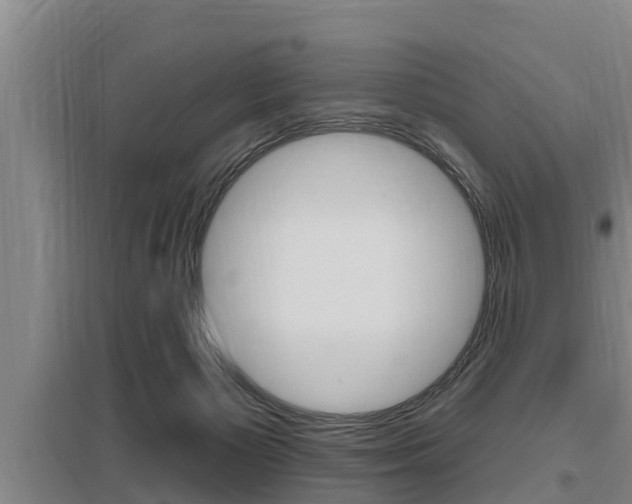 X0000095960125200801110955