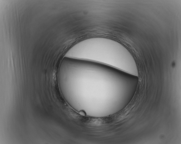 X0000095960127200801110955