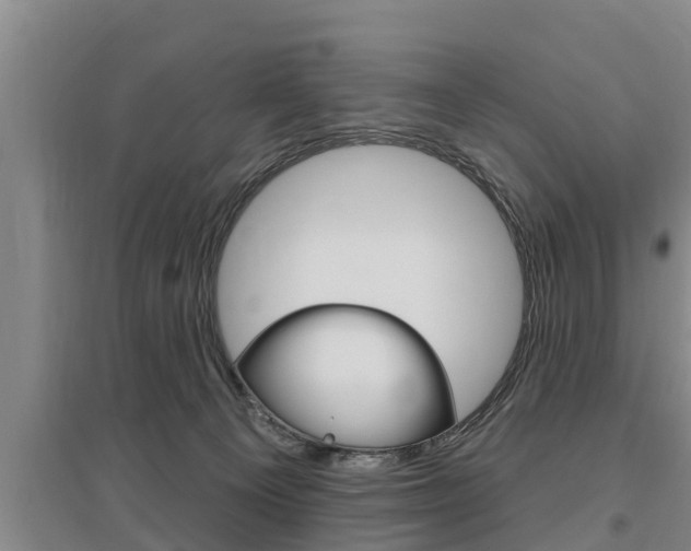 X0000095960129200801110955