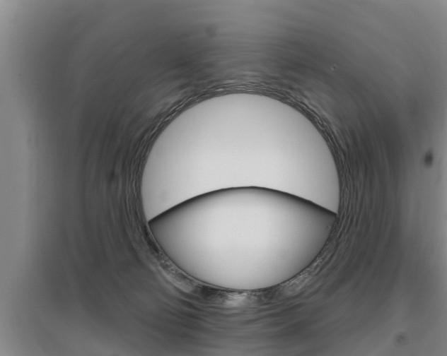 X0000095960130200801110955