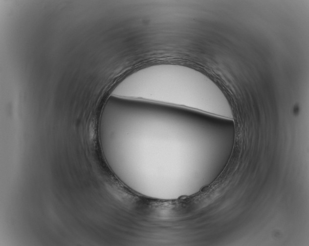 X0000095960131200801110955