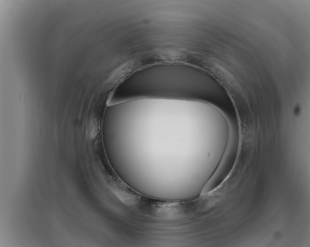 X0000095960132200801110955