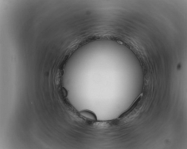 X0000095960133200801110955