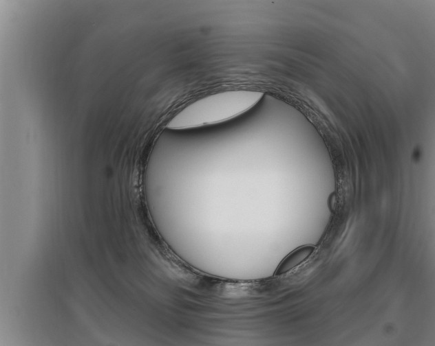 X0000095960134200801110955
