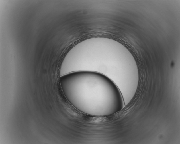 X0000095960135200801110955
