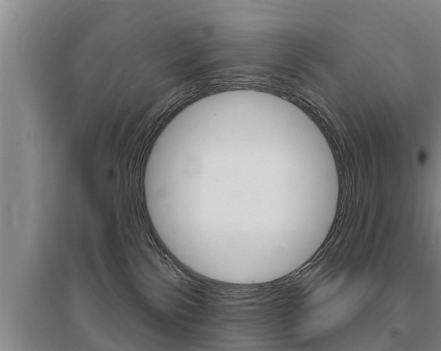X0000095960138200801110955