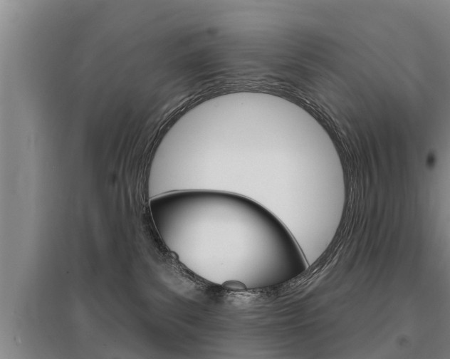 X0000095960139200801110955