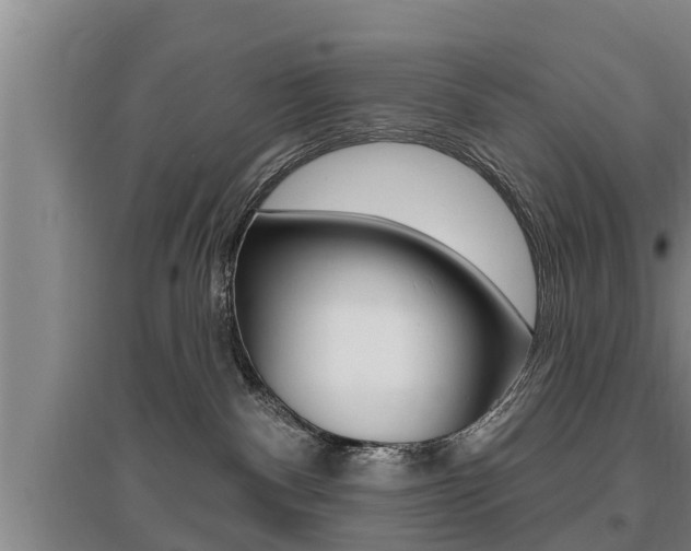 X0000095960140200801110955