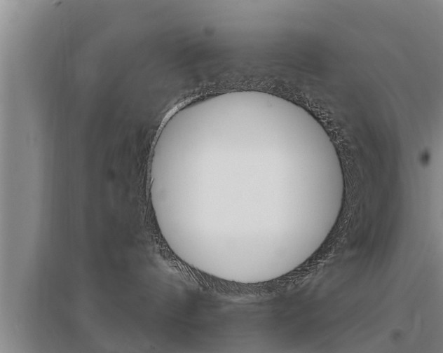 X0000095960144200801110955