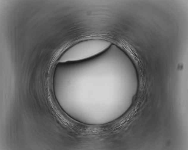 X0000095960145200801110954
