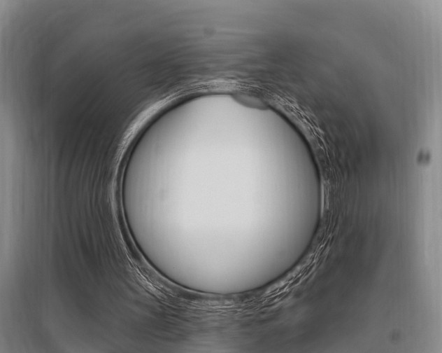 X0000095960147200801110954