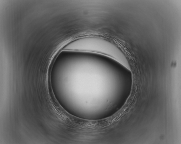 X0000095960148200801110954