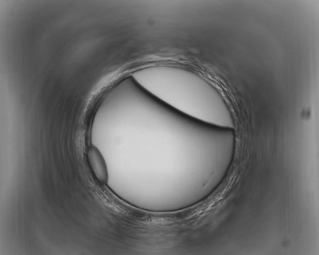 X0000095960149200801110954
