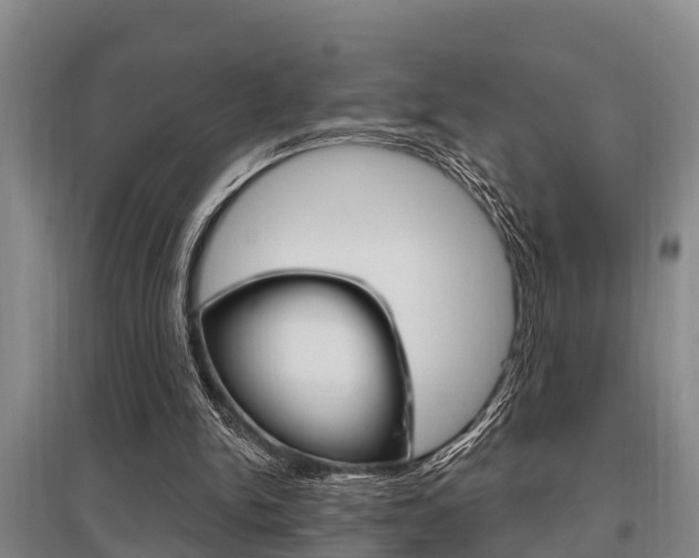 X0000095960150200801110954
