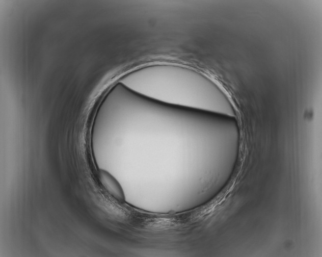 X0000095960151200801110954