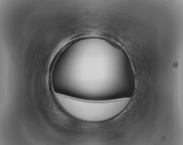 X0000095960152200801110954
