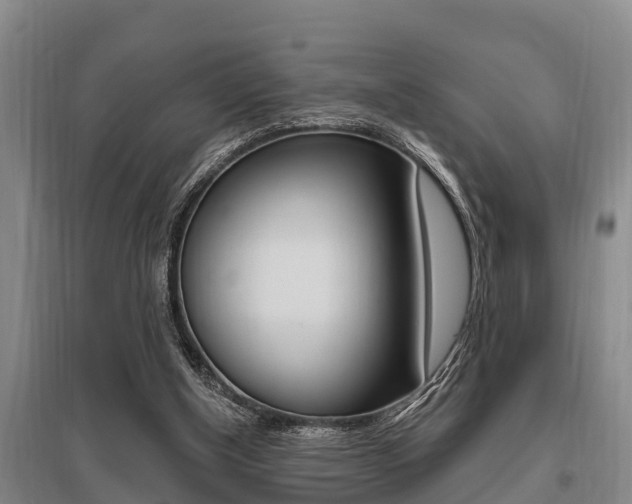 X0000095960154200801110954