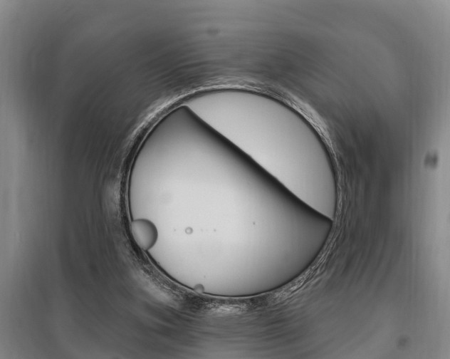 X0000095960155200801110954