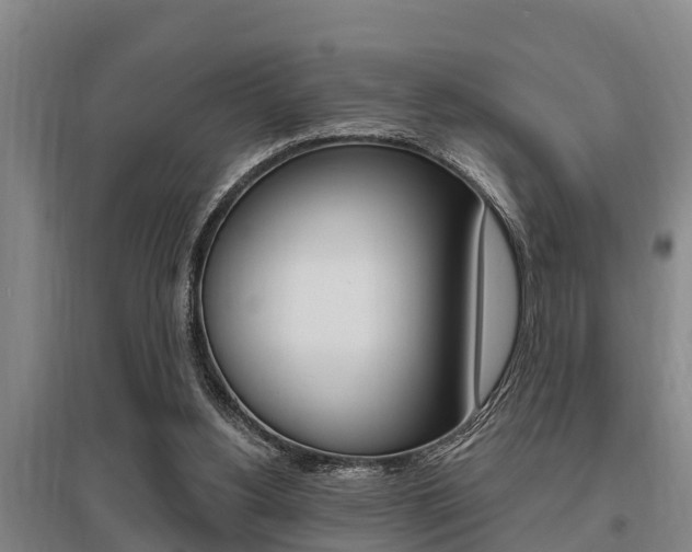 X0000095960156200801110954