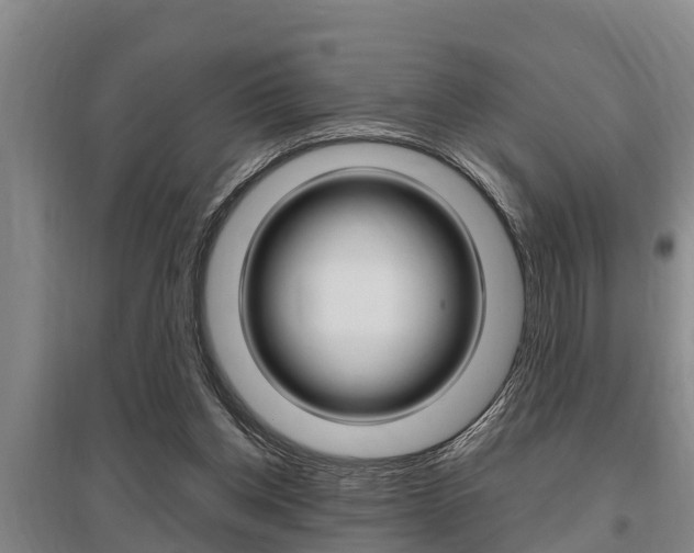 X0000095960158200801110954
